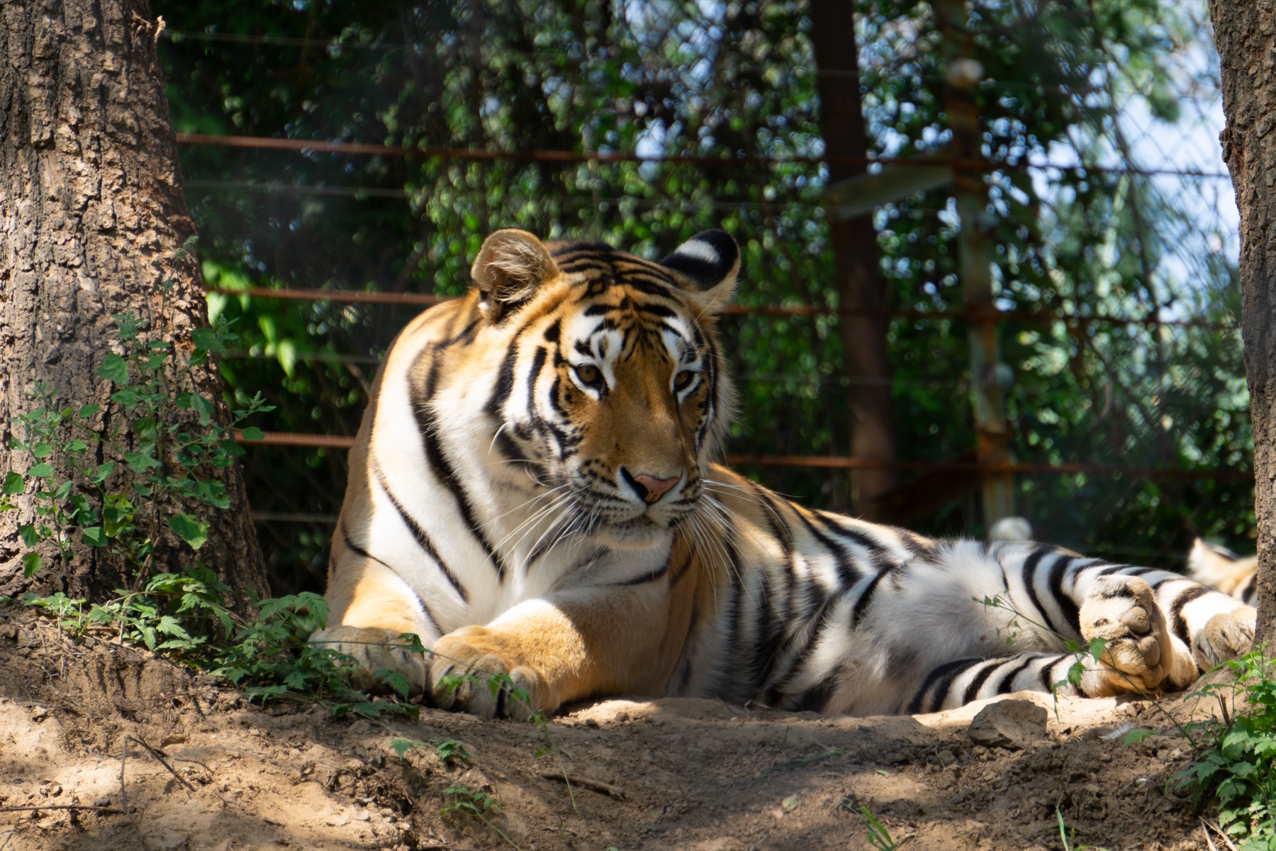 Badaling Great Wall and Wildlife Park photo 1
