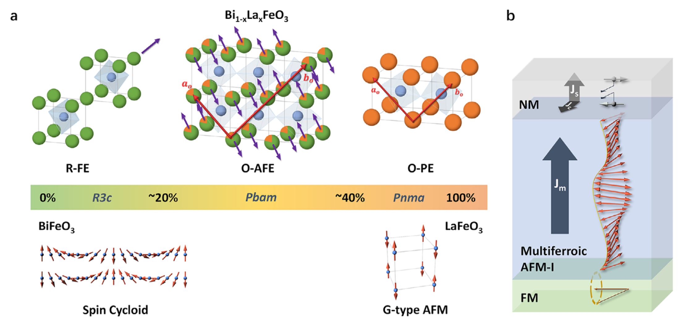 Tuning Anisotropic Magnon Transport in Multiferroic Oxides by Crystal Symmetry